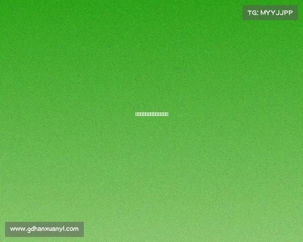 国家电子竞技队出征仪式流程